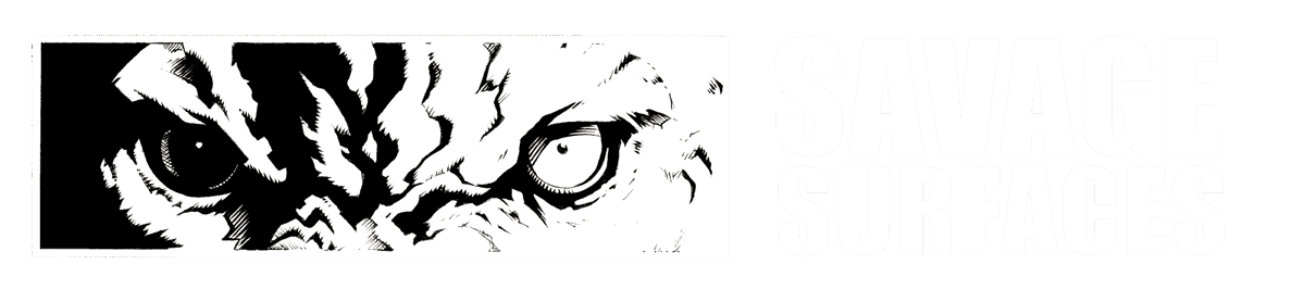 Savage Surfaces